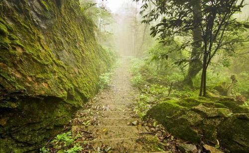 广东有个冷门景区，云雾迷蒙似仙境，很多人不知道