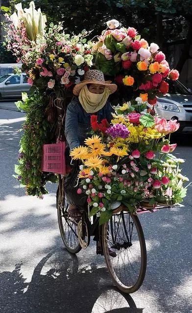  #盘点#盘点一组照片，来欣赏下美丽的越南风景吧！