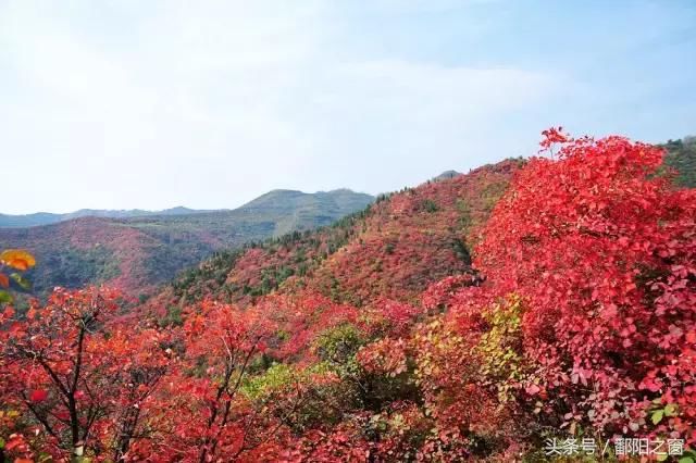 陕西：“天然氧吧”、“秦岭的九寨沟”还有唐太宗李世民的银杏…