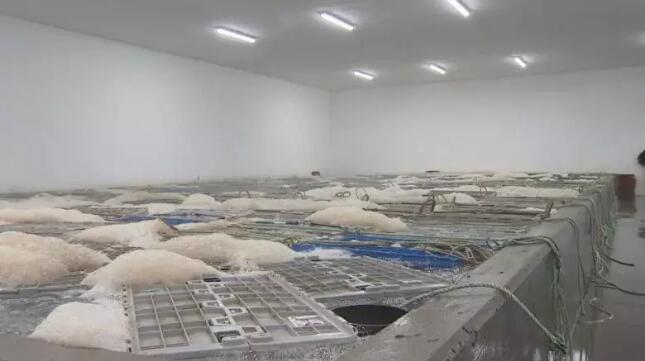 北美波龙＂倾销＂，祸及加拿大出口，商家须承受贸易格局变化带来