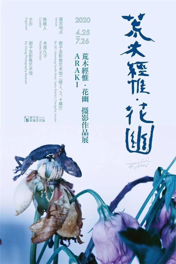  作品展@“不太一样”的花世界，荒木经惟·花幽摄影作品展开幕
