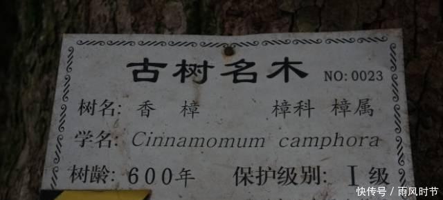  #攻略#中国内湖第一岛苏州洞庭西山岛旅行攻略