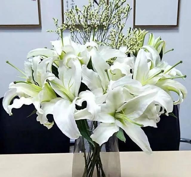  『天使』喜欢白色？这五种“洁白花”不可错过，美如雪中天使