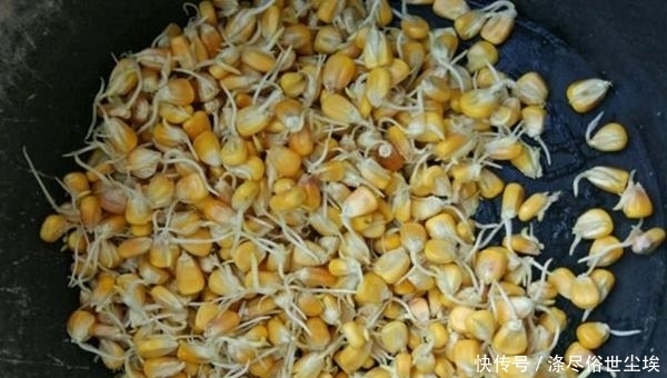 方法■夏季野钓绝杀小鱼闹窝,试试三“不”原则,效果立竿见影!