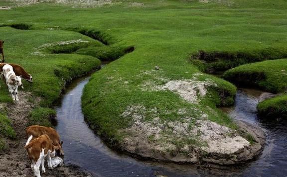  河漫滩@最窄的河流，最窄的地方只有几厘米宽！网友：为什么不是