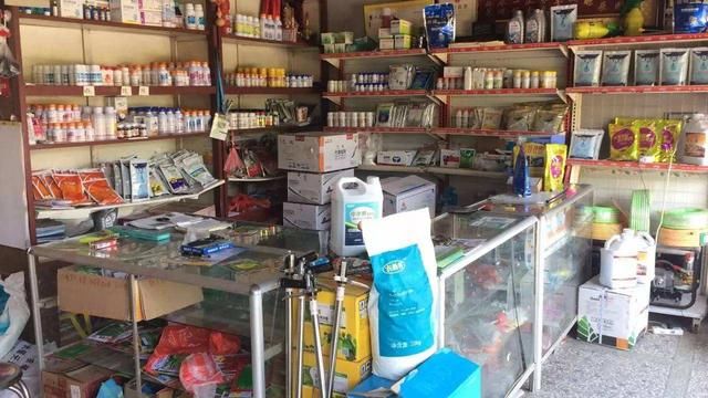 未来十年，4个适合在农村投资的项目，农民朋友可以了解下