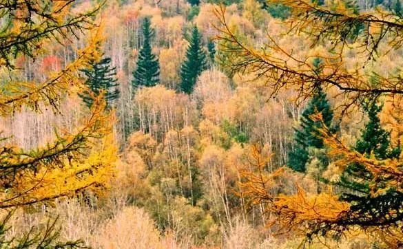 秋日里，山西20处绝美赏秋胜地美的像仙境