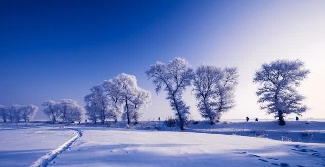 东北最有魅力的是啥，除了文化气息，这里还有别样的雪景