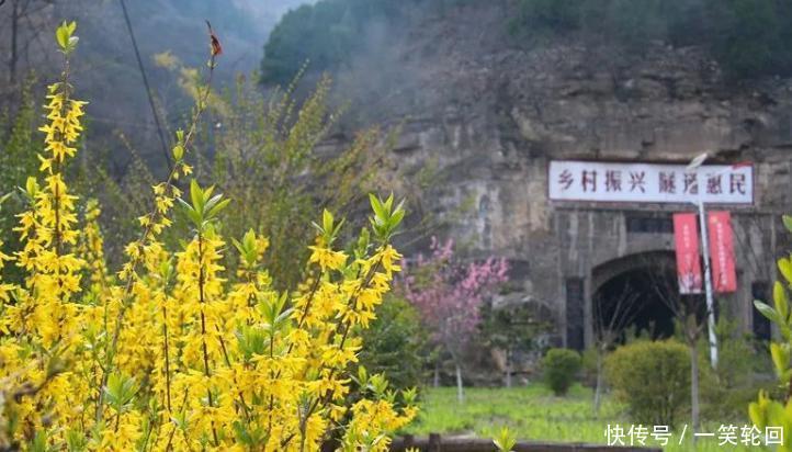 春天@张家庄的春天:连翘花开缀山间!