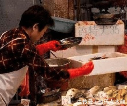  找到：为何说在香港生活比大陆辛苦看看他们的菜市场，你就能找