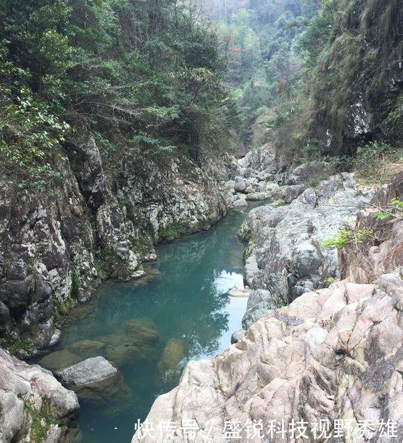  『山涧』这是娃娃鱼吗山涧钓鱼，水底全是“四脚兽”，一小时钓了十几条！