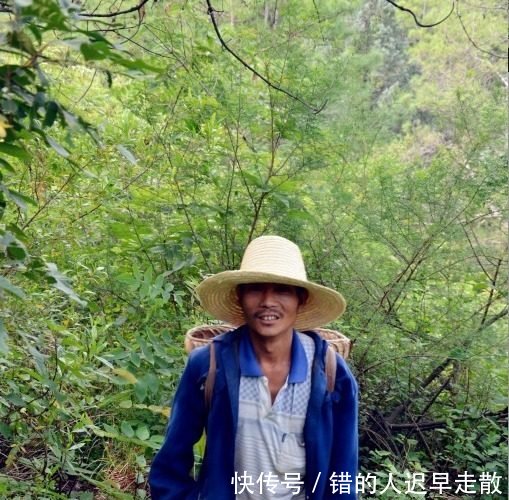农村深山一月两万你会干吗山林中发现这种职业，一公斤1200