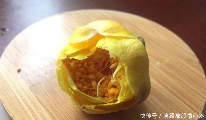 李时珍一辈子没找到的花，广西贫困户种它发大财！