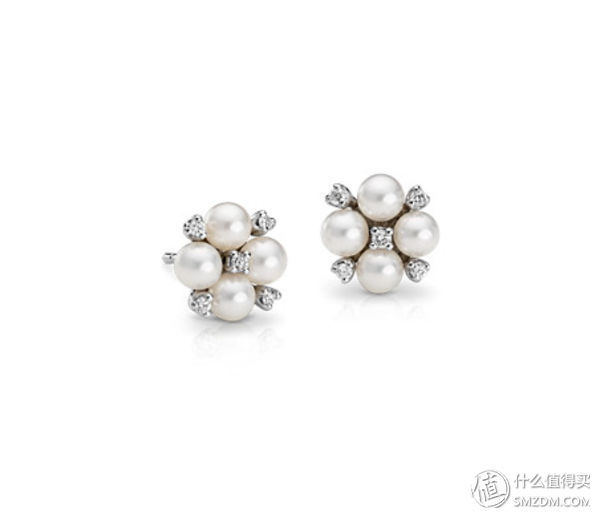 岩石学爱好者的Blue Nile网购攻略下单教程购物心得