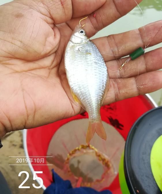 「荒期」掌握这14个钓鱼技巧,鱼荒期都能钓到手软!新手每天都要读一遍