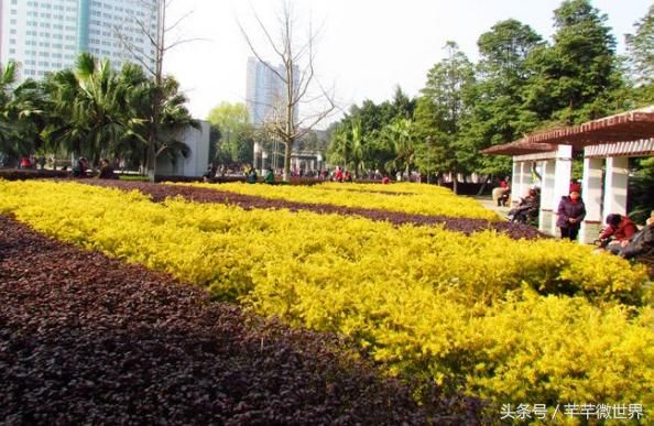 四川修建一条高速，沿线3市有新机遇，贯通3市北上南下重要通道