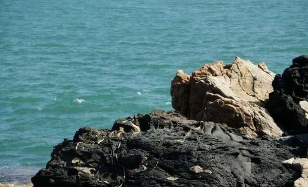 业主们的乳山银滩生活：游小石口 感受大自然的鬼斧神工