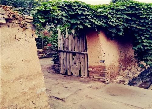 农民必读，2019年农村宅基地征收，能获得哪些补偿！