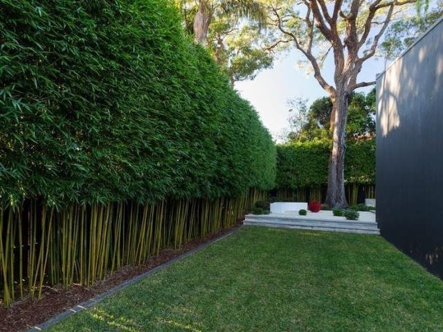 庭院竹子50张图告诉你，花园里种竹子有多高大上，气质瞬间提升