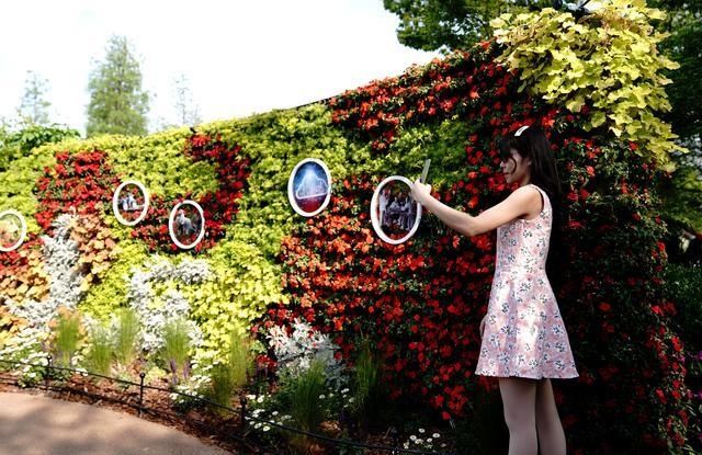  『花展』2020上海（国际）花展开幕