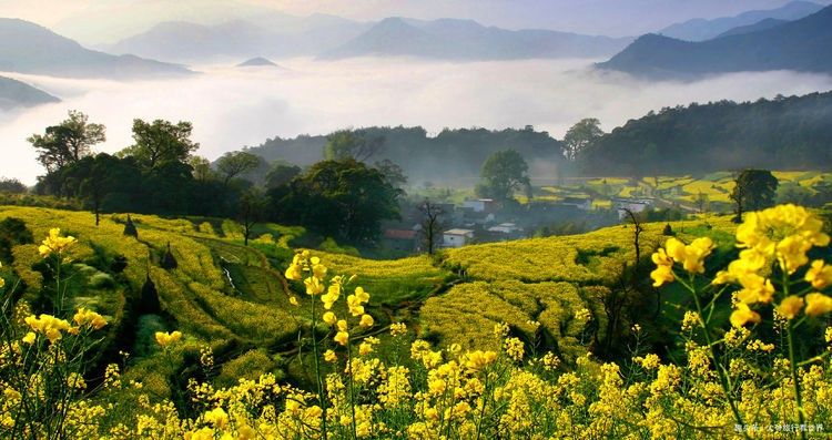 中国最美的乡村婺源,一个神秘的探索地【2020热门旅游景点】