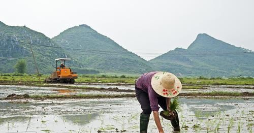  「农民朋友」未来10年农民的生活会怎么样？越来越好，还是越来