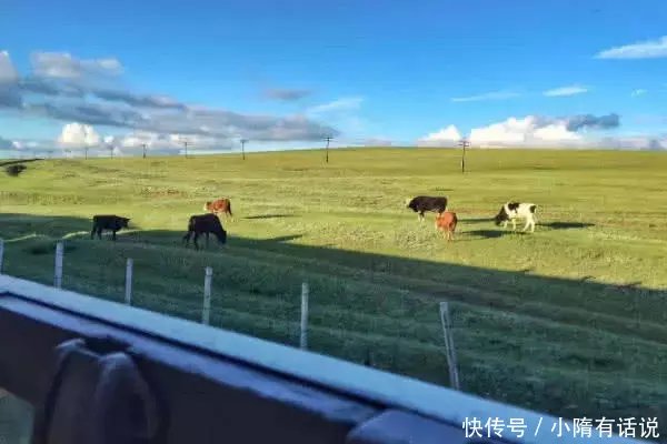 中国“最牛”火车，票价达6000元，比机票还贵，却仍一票难求！