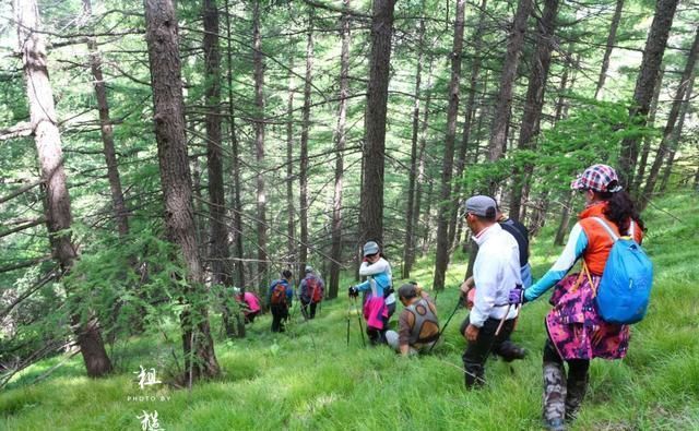 五一爬黄山，游客空手爬，驴友却拿两根棍？游客：难道不多此一举