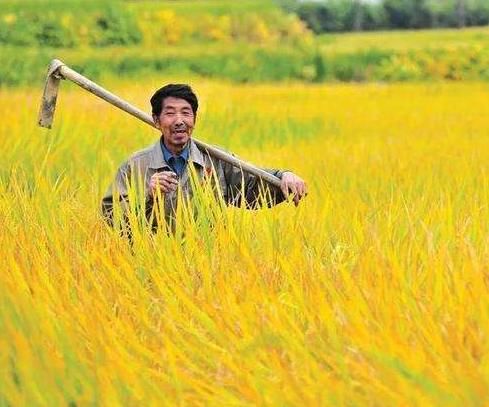  2020年：辟谣：中央没有发布了“全国强拆令”！2020年大规模实