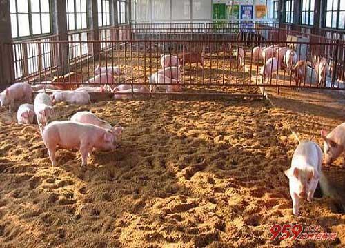 2018年农村创业商机好项目,白手起家农村创业