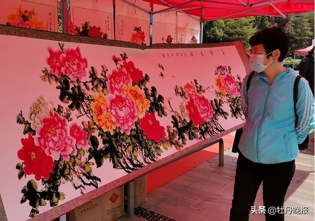  [曹州牡丹园内]早芍药“接档”，助力牡丹节