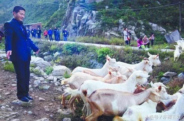 毒奶粉、地沟油、假疫苗……那些英勇的揭露者们 下场为何这样惨