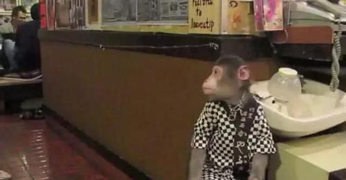 世界“奇特”的几个餐厅，一个在“鲸鱼肚里”，摸黑吃饭