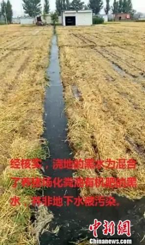河北晋州“黑水”浇地为谣言 编造水污染者被拘