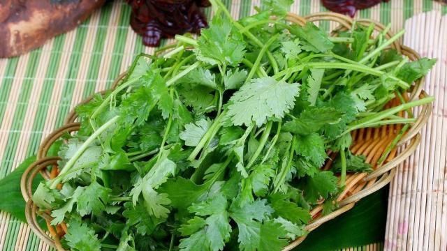  「蔬菜」阳台种菜，选择这3种蔬菜，吃完一茬长一茬，绿色健康又好吃！