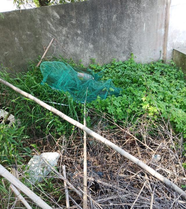 「钓鱼」生活要充满幸福感,钓鱼也要钓出仪式感