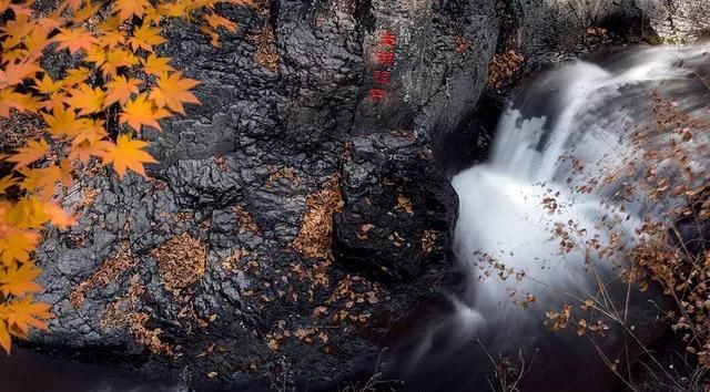 又一个红叶王国！国内这处秘境，有比肩枫叶之国加拿大的醉美秋色