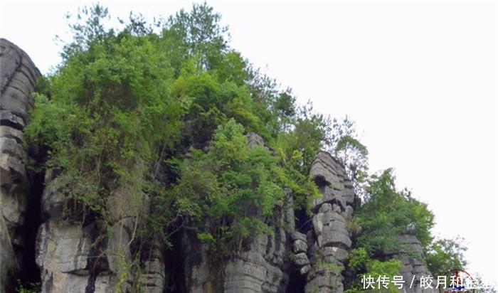  【相媲美】能跟云南石林相媲美，整个景区像一只大葫芦，自然景色十分迷人！