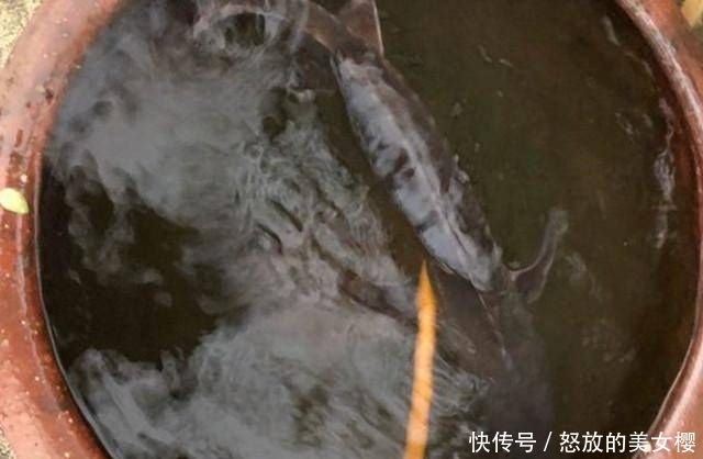  钓友：老家小河里，钓起这种鱼，钓友说是长江珍稀物种，味道鲜美
