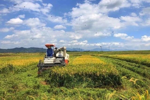 2019年下半年的农业补贴全了，农民好好看看，哪一项最适合你！