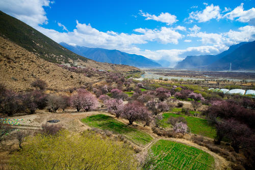 春天最值得一去的3个精选赏花地，风景美爆了且还不收取门票！