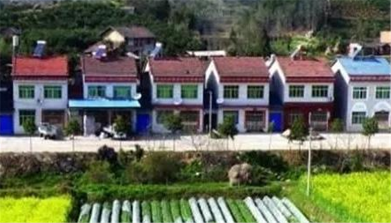  田时|农村承包地开始“归并”，其中有什么样的原则？