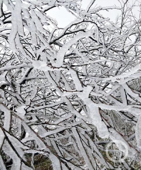  「哇塞」哇塞！重庆2019年第一场雪来了 城口喜降瑞雪