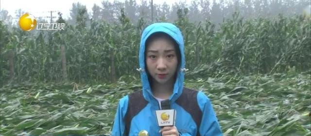 雨仍在路上！多路记者发回辽宁各地最新雨情