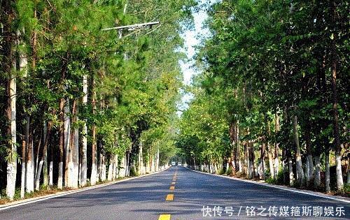  【高速】为什么国家要禁止使用混凝土修建高速公路了？网友：还