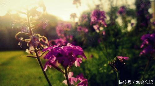 适合■温柔体贴,勤俭持家,婚后适合在家里相夫教子的四大星座女