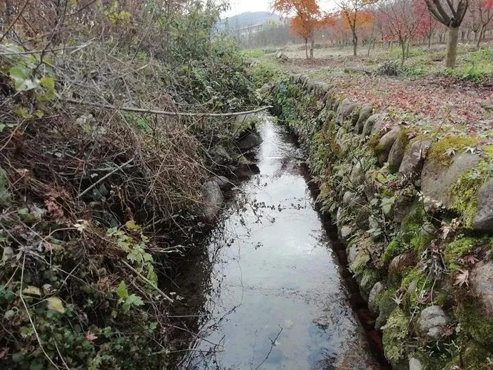 诸暨发现独特明代水利工程 运行600多年至今仍润泽一方水土