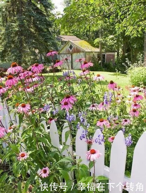  「快乐」篱笆小院住在乡村的快乐，你想体验吗！