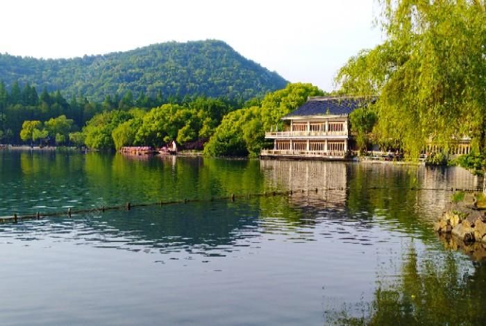  「解决方案」空竿、跑鱼、鱼停口、小鱼闹，有鱼星不食饵的原因，附上解决方案
