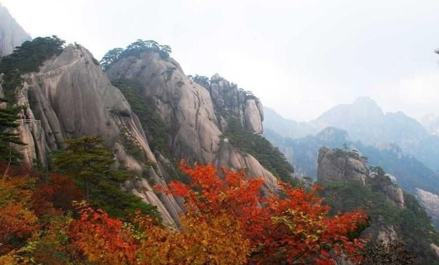 逐暖、赏红、泡汤，最佳时机已来到，盘点冬季旅游的那些享乐事